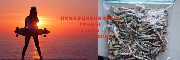 2c-b Покачи