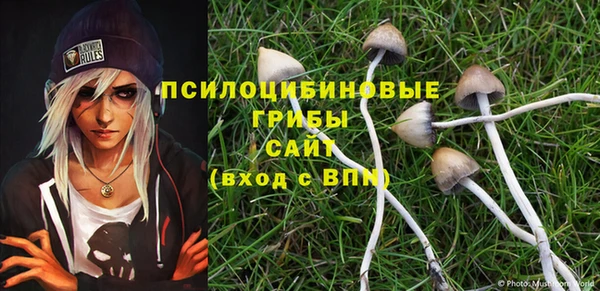 мяу мяу мука Покровск
